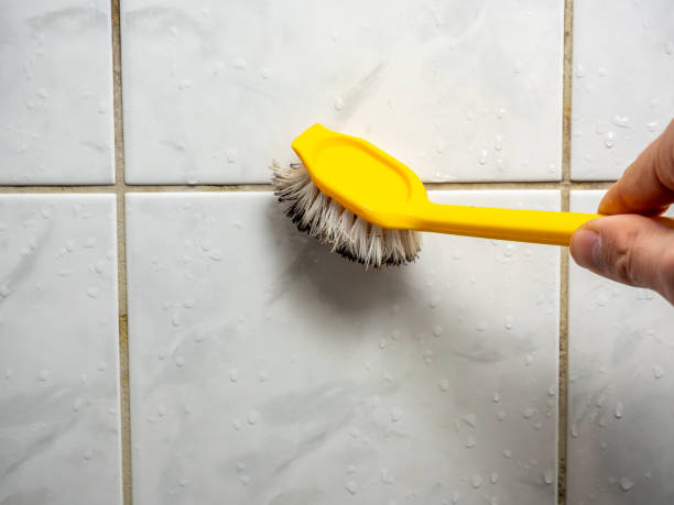 Certified Mold Removal in Scotchtown, NY