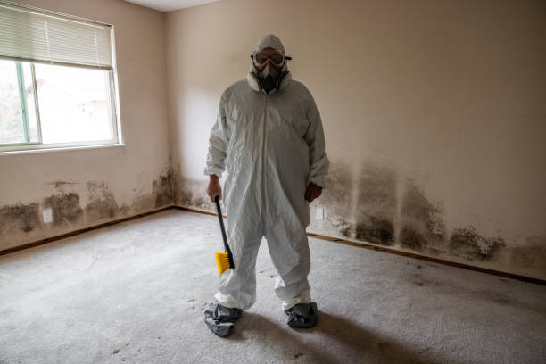 Best Fast Mold Removal  in Scotchtown, NY